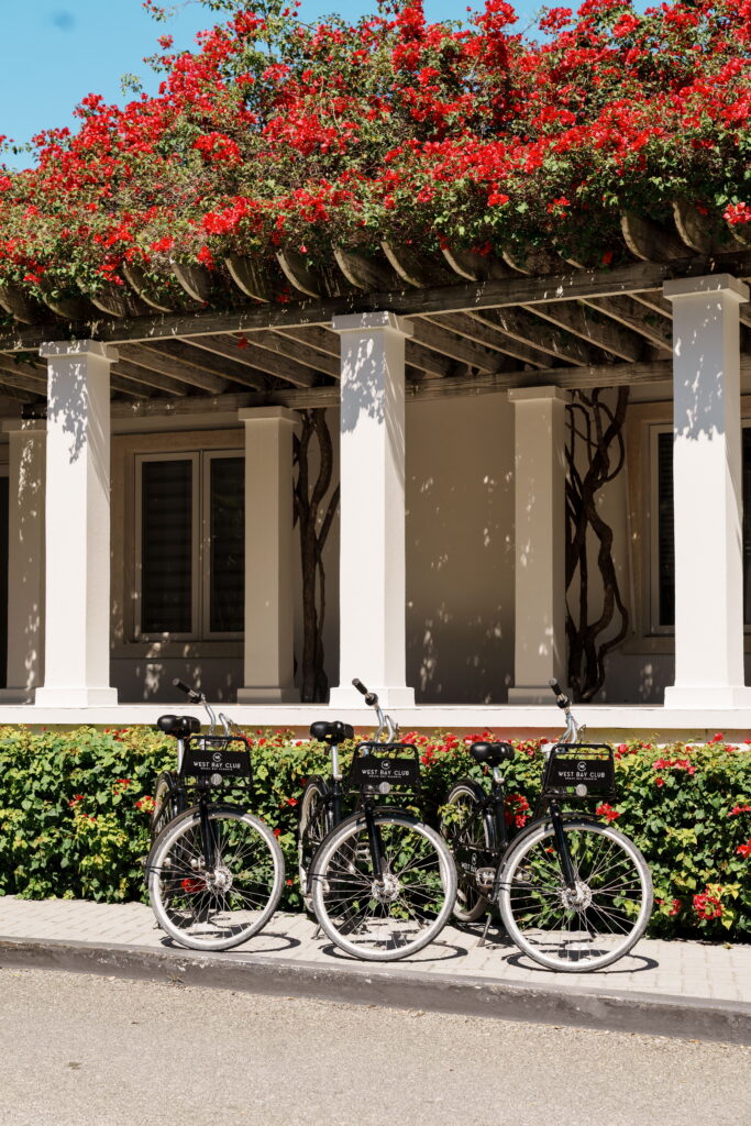WBC Bikes3
