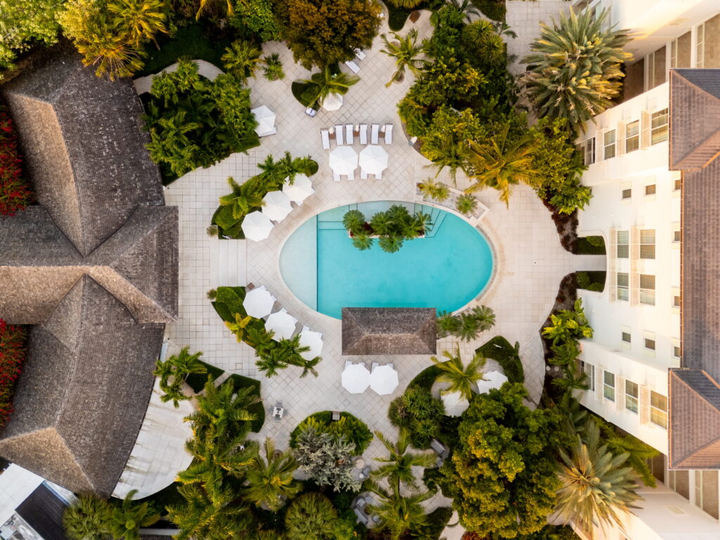 WBC Top View 2